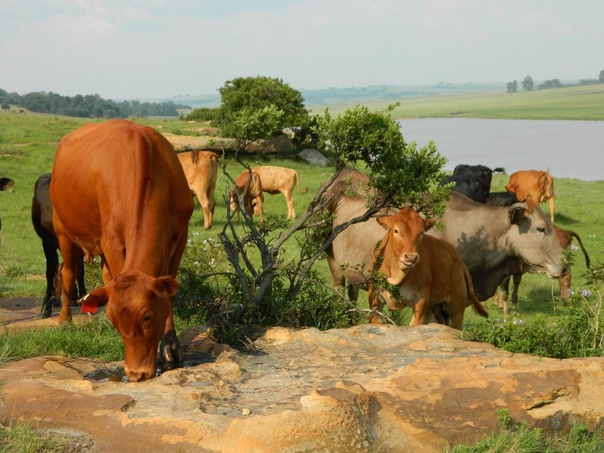 Green Thumb Farm Stay Ermelo Luaran gambar